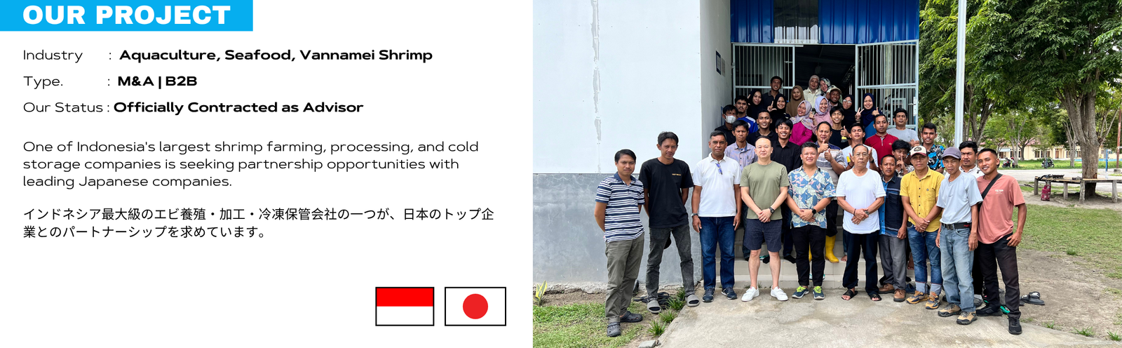 Indonesia Vannamei Shrimp Projects