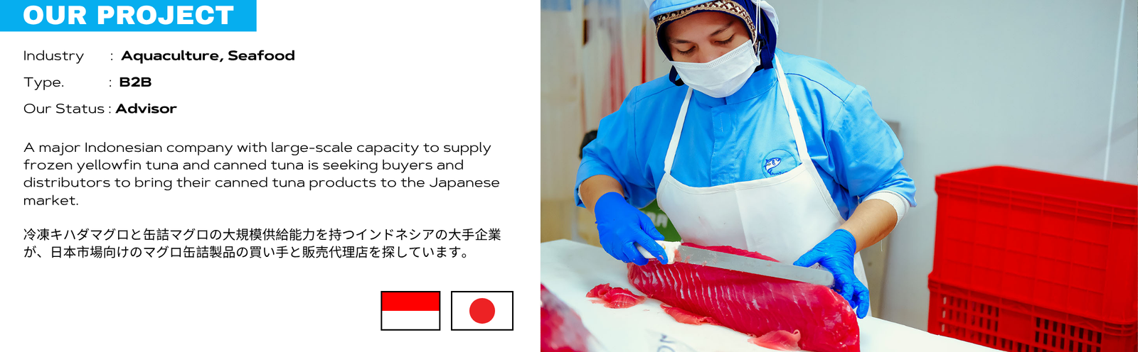 Indonesia Frozen Yellow-fin Tuna Project