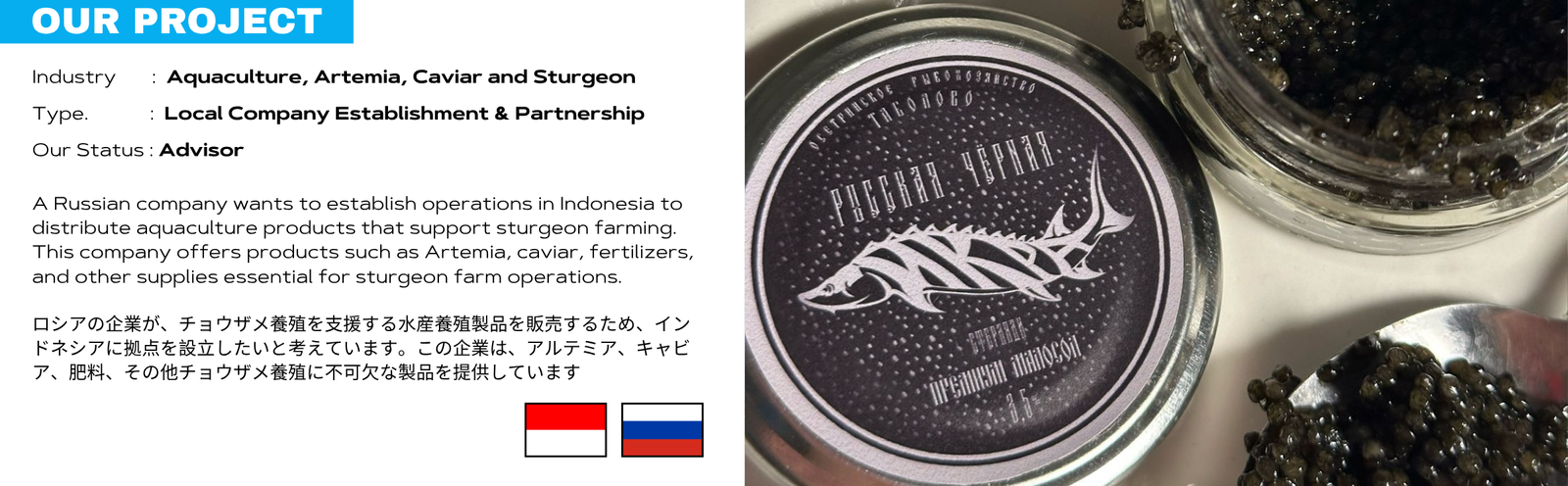 Indonesia Local Russian Company Establishment Project
